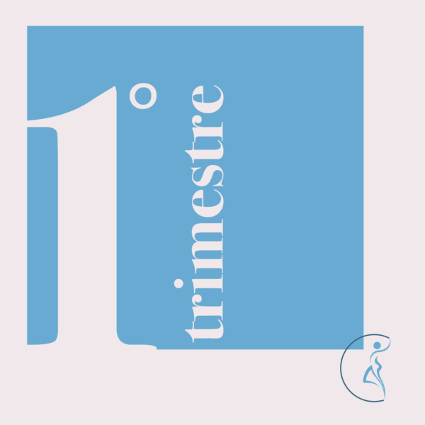 Gravidanza 1° trimestre